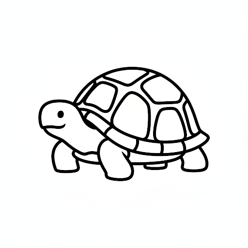 거북이