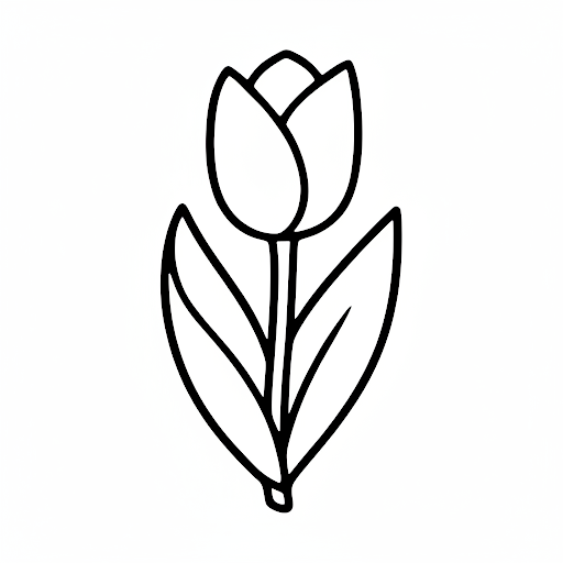 튤립